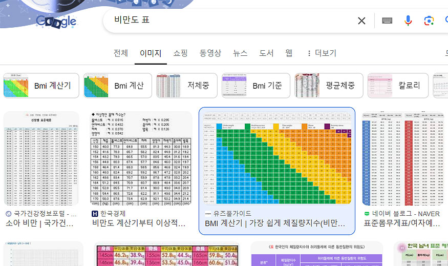 구글-비만도-표-검색-결과