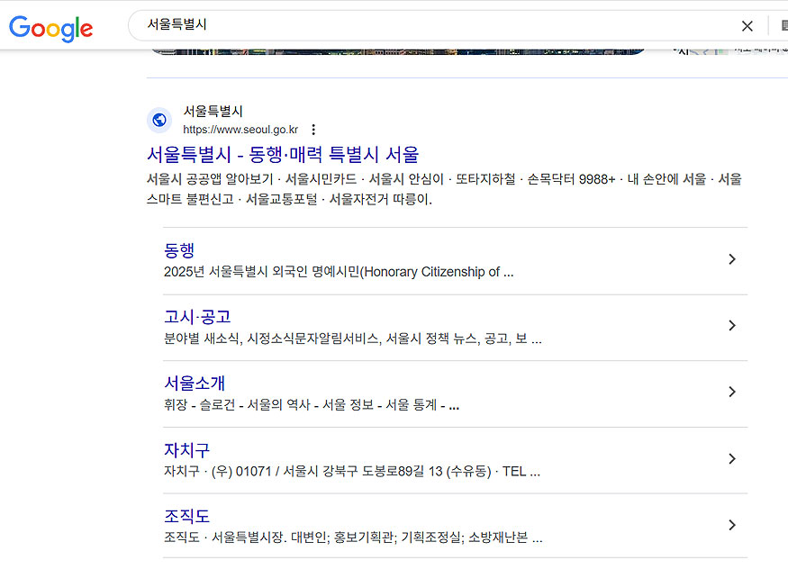 구글-서울특별시-검색