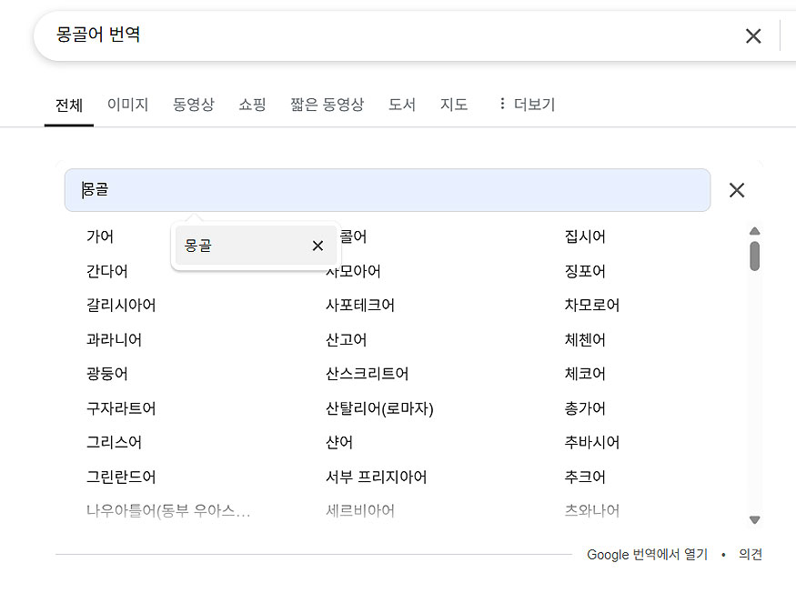 구글-검색기에-몽골-검색-입력