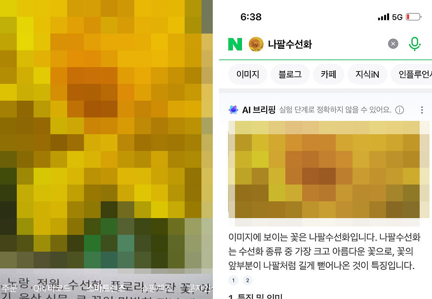 네이버-렌즈-검색-결과-나팔수선화-나옴